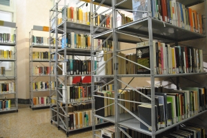 Libri a scaffale aperto