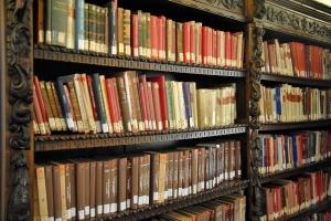 Libri a scaffale aperto
