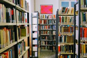 Libri a scaffale aperto