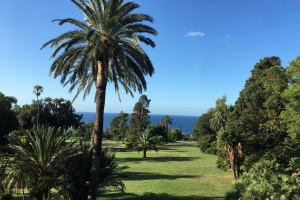 Foto parco